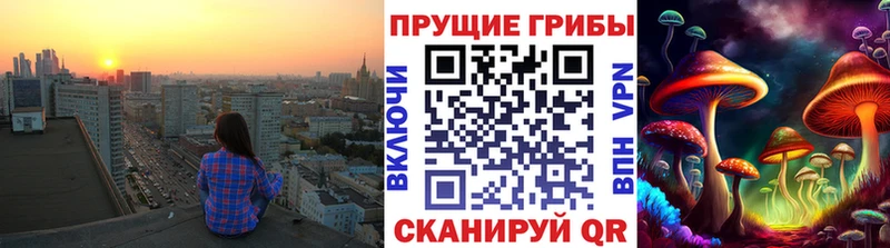 наркота  shop клад  Псилоцибиновые грибы MAGIC MUSHROOMS  Костерёво 